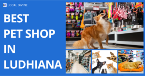 Pet Shop in Ludhiana